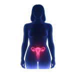 Contraccettivi