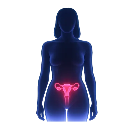 Contraccettivi