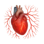 Malattie cardiovascolari