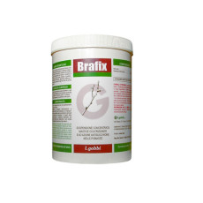 Brafix 60 bottles